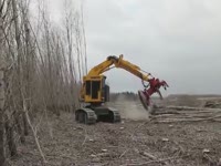 Отслеживать Феллер Buncher Komatsu XT430
