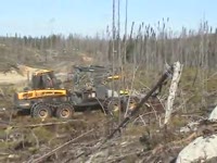 M36 Bracke леса на Ponsse