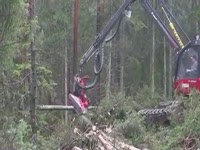 Харвестерная головка SP 561 на харвестер Valmet 911