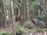 Комбайн SP 551 LF III на Гремо 1050H