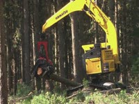 Валочно-пакетирующий гусеничный харвестер Komatsu Forest XT450L-2