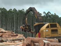 Комбайн Tigercat H855C - Клабин