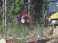 Харвестерная головкаWaratah HTH624C