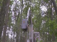 Мульчер DENIS Cimaf ДАХ - 080 C МУЛЬЧЕР на харвестере