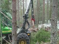 Харвестерная головка SP 451 на харвестере Джон Дир 770 D