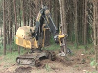 Феллер Buncher Tigercat L870C