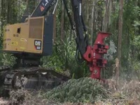 Валочно пакетирующая машина