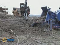 Измельчитель барабанный Петерсон 4300 в твёрдой древесины