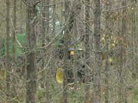 Харвестер Джон Дир 770D 6 колес