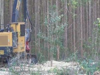 Tigercat H250B харвестер