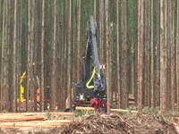 -Презентация 2011 Waratah Expoforest H270E II