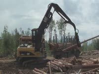 Вход погрузчик CAT 320 D FM - короткие древесины загрузки