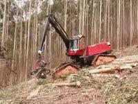 Харвестер Komatsu 911 X3M по крутому склону приложения в Бразилии