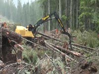 Перегружатель Logger Tigercat LS855C