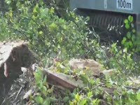 Мульчер DENIS Cimaf DAX 150E на John Deere 350 D