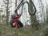 Валочная головка Komatsu 340