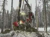 Log Max 5000C на харвестере Valmet 901,4