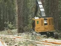 Харвестер Tigercat H822C гусиничный