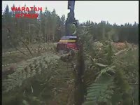 Харвестерные головки Waratah HTH626