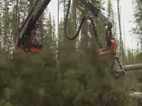 Харвестер Komatsu 901TX