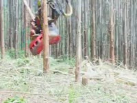 Харвесторные головки Waratah HTH 616