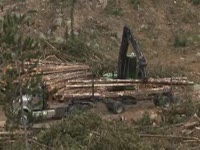 John Deere Лесопогрузчик 2054