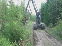 Харвесторная головка SP 561