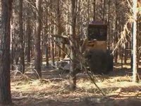 Валочно-пакетирующие Tigercat 822 и 718