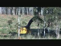 Tigercat H845C и 1075B