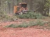 Мульчер Tigercat 480