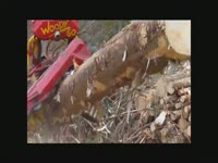 Harevester Doosan forest с харвесторной головкой Woody 60