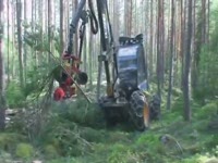 Лесозаготовительная машина Rottne H-8 с SP 451 LF