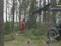 Харвестер Valmet 901TX с Maskiner SP 561 LF.