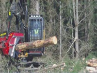 Харвестерная головка Waratah HTH624Cв работе