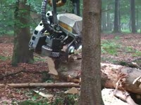 PONSSE Ergo im Starkholz