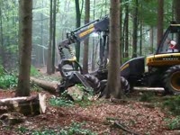 PONSSE Ergo im Starkholz [1]