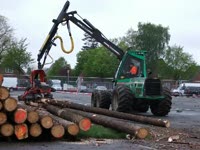 Skogsjan 695 + SP 650 m SH 2010