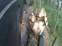 PONSSE Buffalo mit Klemmbank [1]