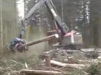 Timberpro с Keto 500HD харвестерная головка