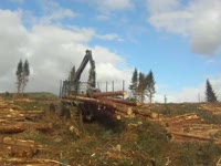 форвардер Rottne SMV Rapid