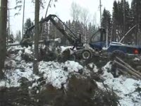 Харвестер Rottne H-20