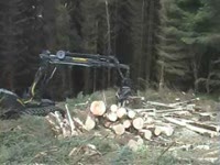 Работа в Шотландии PONSSE Ergo