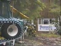 Ирландское лесное шоу 1997