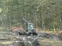 Timberjack 1110D