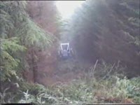 Трактор County скиддер с лебедкой Igland