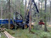 Rottne H-10 харвестер, работа в Швеции