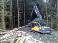 Volvo EC210 с головкой Ponsse H73