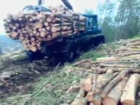 Rottne SMV Rapid с хорошей нагрузкой