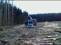 Rottne F15 форвардер, работающий в Шотландии