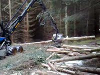 Харвестер Rottne H-14, работающий в Шотландии